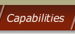 Capabilities